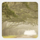 Search for joanne stickers Peaceful