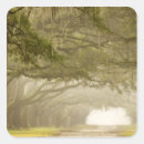 Search for joanne stickers Oak