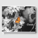 Search for butterfly guest books Nature