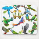 Search for parakeet electronics Macaw