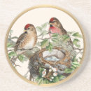 Search for birdwatcher coasters Songbird