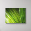 Search for abstract leaf art Foliage