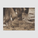 Search for horse tissue paper Decoupage