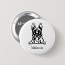 Search for belgian badges Dog