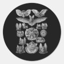 Search for skeleton drawing stickers Witchcraft
