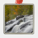 Search for on fork christmas tree decorations Forest