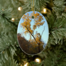 Search for autumn christmas tree decorations Photography