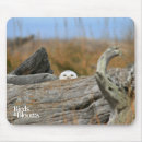 Search for bird watcher mousepads Birds of prey