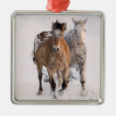 Search for appaloosa horse christmas tree decorations Equine