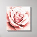 Search for pink rose canvas prints Flowers