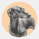 Search for whippet dog stickers Whippets
