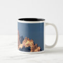 Search for nps mugs Grand teton
