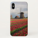 Search for tulip bulbs electronics Garden