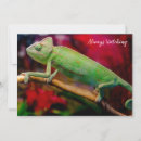 Search for reptile invitations Chameleon
