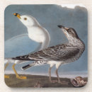 Search for 1838 barware Birds of america