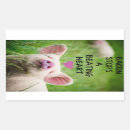Search for large pig stickers Animal