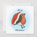 Search for robin redbreast christmas cards Merry
