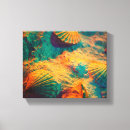 Search for seashell pictures canvas prints Beach