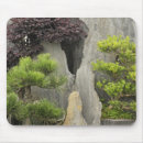 Search for bonsai electronics China