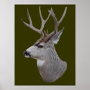 Search for buck deer posters Hunting