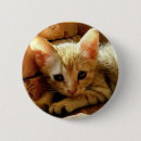 Search for kitten badges Kitty