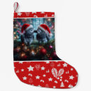 Search for parrot christmas stockings Pet