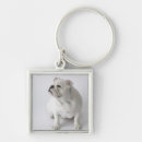 Search for english bulldog key rings Animals