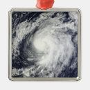 Search for hurricane christmas tree decorations Natural disasters