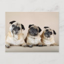 Search for tilt postcards Cute