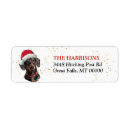 Search for black and tan dachshund return address labels Dog