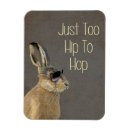 Search for hip magnets Rabbit