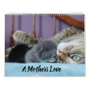 Search for mother calendars Kittens