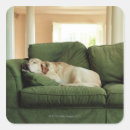 Search for sofa stickers Horizontal