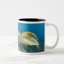 Search for invertebrates mugs Nature