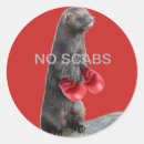 Search for hammie stickers Hammy