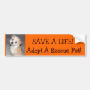 Search for aspca Puppy