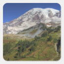 Search for mt rainier stickers Mountain