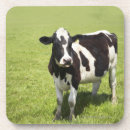 Search for agriculture coasters Full length