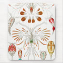 Search for life science mousepads Ernst haeckel