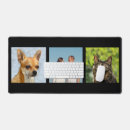 Search for black cat photo electronics Modern
