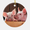 Search for pork christmas tree decorations Meat