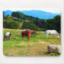 Search for horse mousepads Grazing