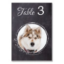 Search for dogs table cards Unique