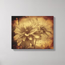 Search for vintage canvas prints Flower