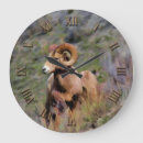 Search for mountain sheep posters Ewes