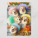 Search for golden retriever puppy invitations Cute