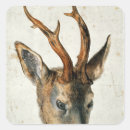 Search for albrecht durer stickers Animal