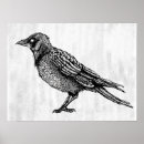 Search for gothic crow posters Magic