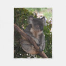 Search for koala bear blankets Cute