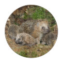 Search for hedgehog chopping boards Germany